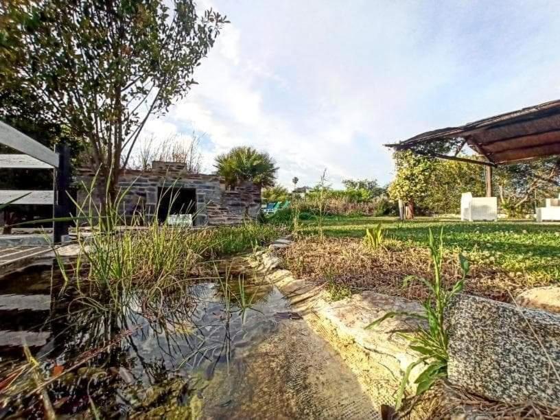 Lusitaurus Villa Montoito Exterior photo